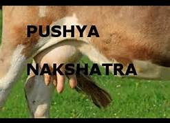 Pushya nakshatra